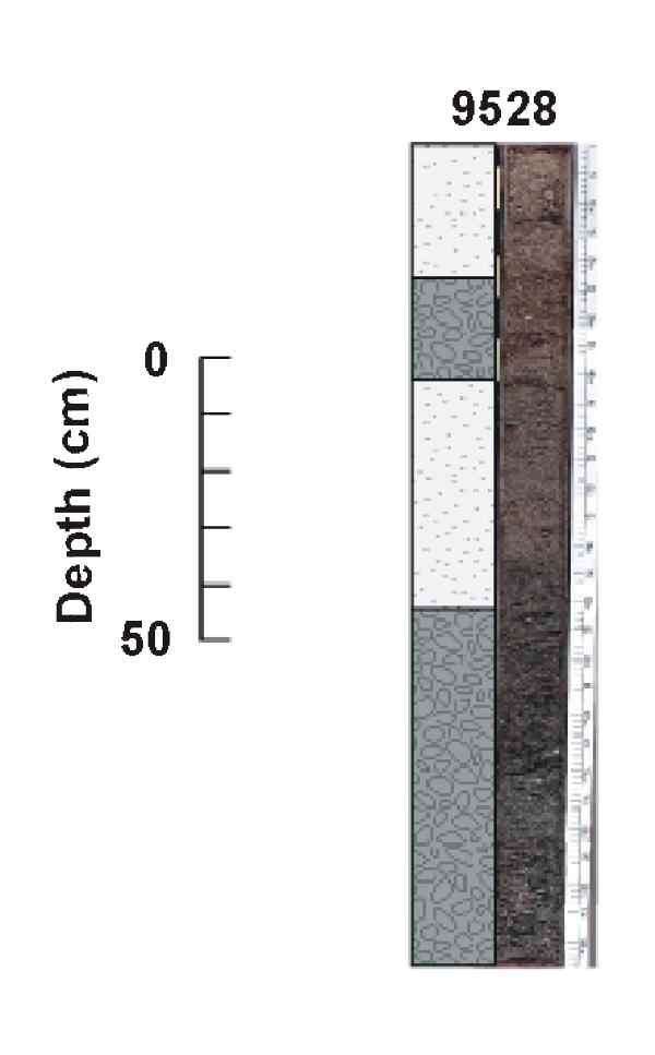 Figure 8. Vibracores taken across the large rippled scour depression, #9528 