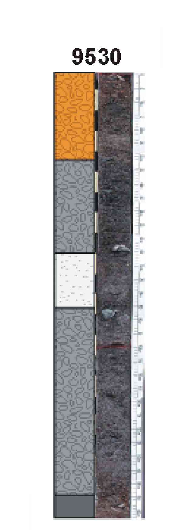 Figure 8. Vibracores taken across the large rippled scour depression, #9530 