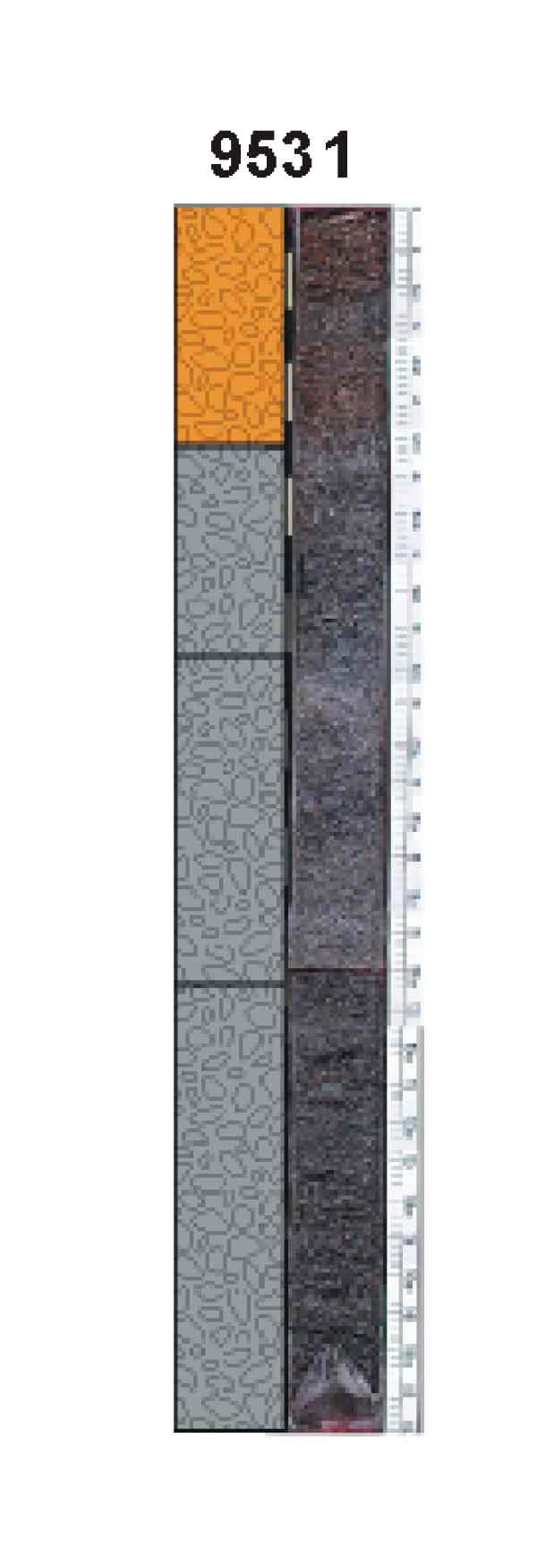 Figure 8. Vibracores taken across the large rippled scour depression, #9531 