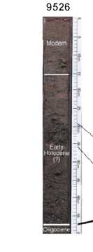 Figure 9. Cross-section and cores taken across the seaward end of the large rippled scour depression shown in Figure 7A (C-C'). 
