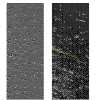 Figure 10.  Bathymetric (left panel) and backscatter (right panel) signature of the ubiquitous features throughout the survey that are interpreted to be individual dumps of material (scale 1:12,500). 