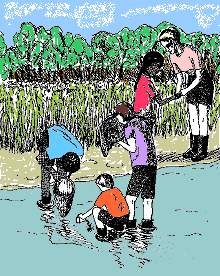 illustration of children on a field trip