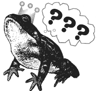 illustration: frog king