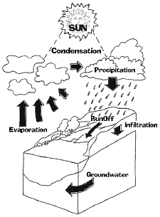 illustration of the water cycle