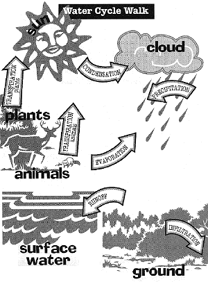 Lessons on the Lake - Liquid Assets: Our Water Resources