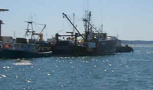 alpha_wh.jpg (108528 bytes)