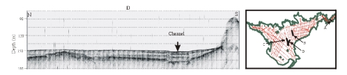 Figure 13. Four seismic profiles showing the acoustic stratigraphy of the sediments filling the lake.
