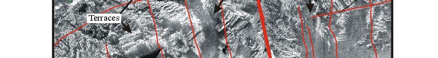 Figure 9.  Sidescan sonar image of part of the terraced rock outcrop that characterized much of the northern side of the lake