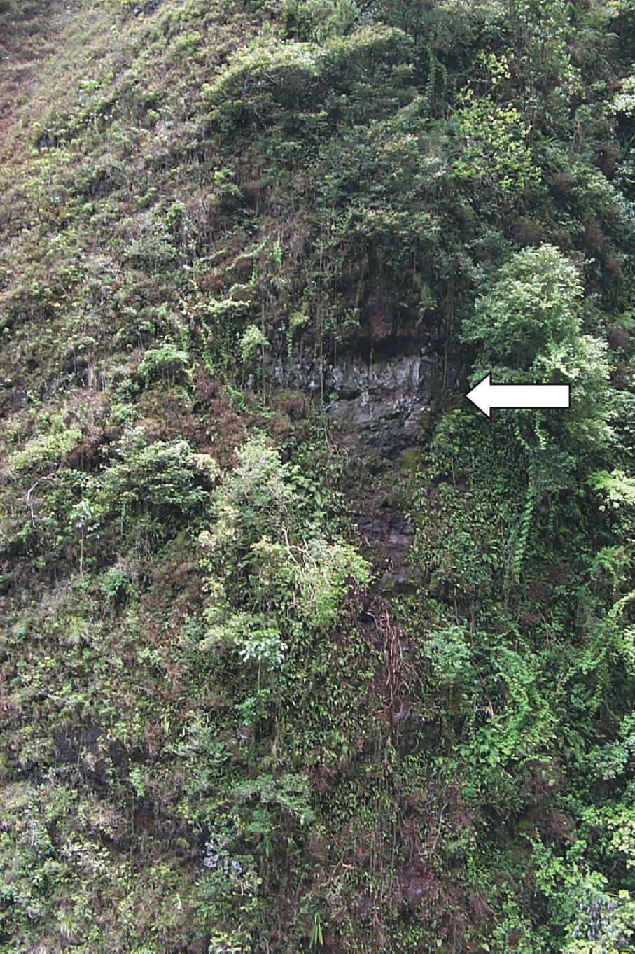 Figure 3. Source area (indicated by arrow) of Sacred Falls rock fall.