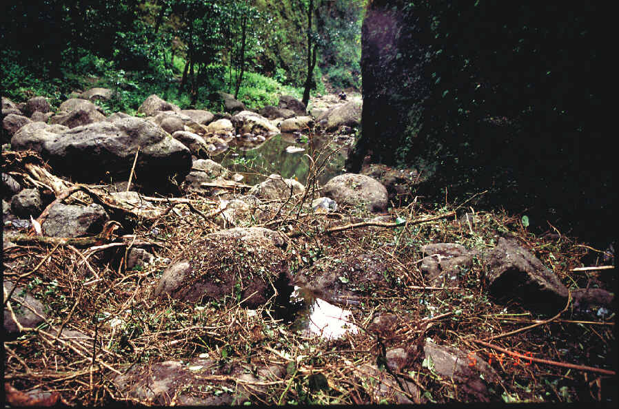 Figure 5. Sacred Falls rock-fall deposit.