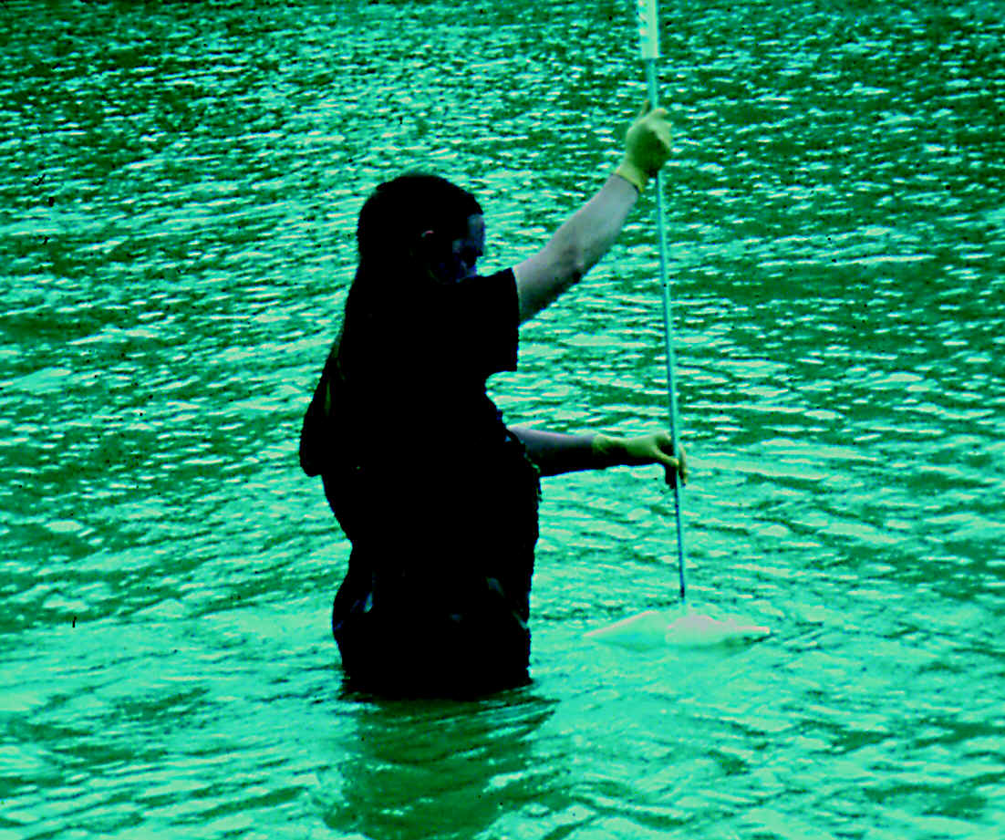 Figure 3. Equal-width increment samlping