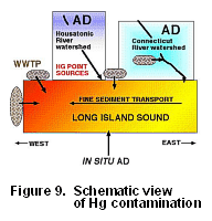 Figure 9 - Schematic view of Hg contamination