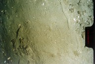Mud 4 - Environments of fine-grained deposition occur within areas characterized by weak bottom currents and muddy sediments.