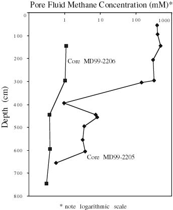 Figure 13.1. Methane concentration profiles for cores MD99-2205 and -2206.