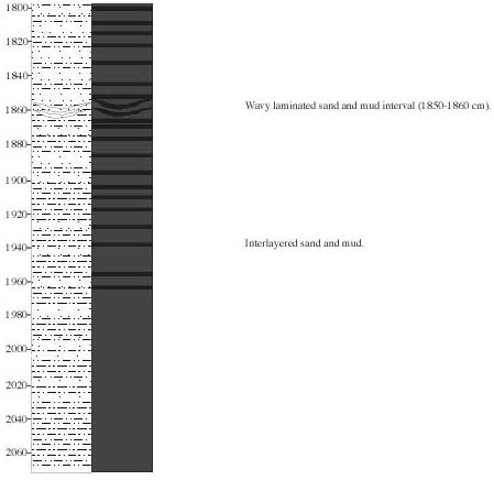 Figure 5.5.  Core description log for core MD99-2207--Continued