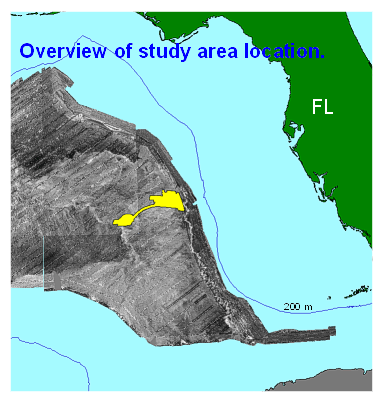 overview of study area location