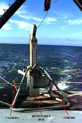 Box Corer on board ready for deployment, click to access report