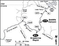 Map of Colorado River downstream of Gen Canyon Dam, Arizona showing study sites.