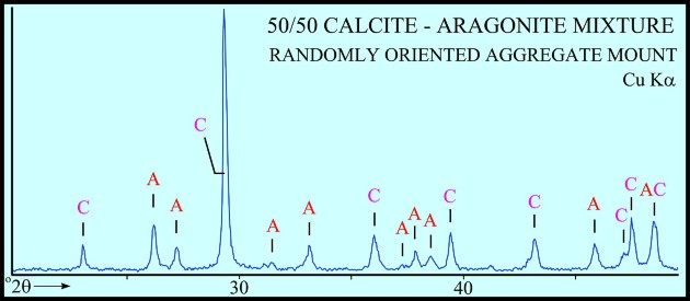 50/50 Calcite-Aragonite Mixture