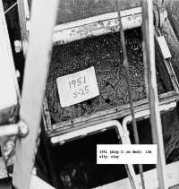 1951: (drop 2; on deck) 13m silty clay