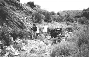 Photograph of undergraduate students using field-hardened laptop computers on an outcrop