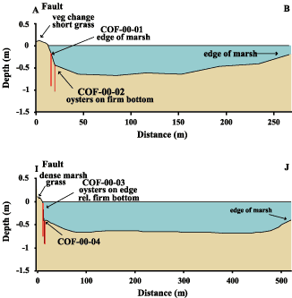Sediment-surface profiles AB and IJ from the Caplen Field.