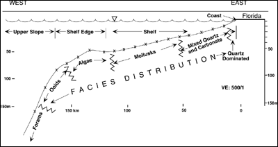 Facies distribution across the west-central Florida inner shelf.