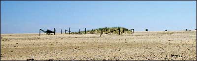 2001 field photograph of southernmost pair of experimental plots.  In experimental areas of restricted and permitted horse grazing, dune development occurs where vegetation is undisturbed.