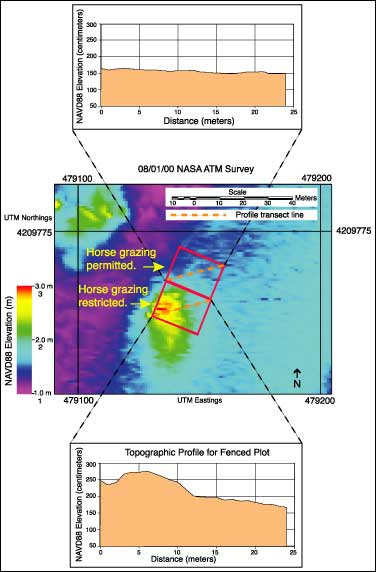 August 1, 2000, NASA ATM survey of southernmost experimental plots. Diagonal profiles of each plot reveal topographic difference between areas where horse grazing is permitted and restricted.