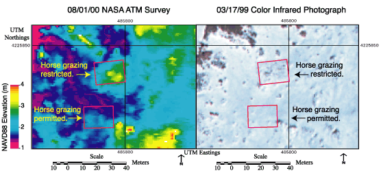 August 1, 2000, NASA ATM survey and March 17, 1999, color-infrared photograph of the northernmost pair of experimental plots. Topographic difference is about 1 to 2 m with significant vegetation cover difference between fenced and unfenced plots.