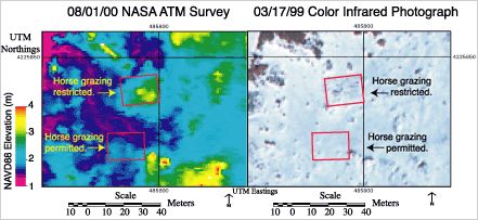 August 1, 2000, <ACRONYM>NASA</ACRONYM> ATM survey and March 17, 1999, color-infrared photograph of the northernmost pair of experimental plots.  Topographic difference is about 1 to 2 m with significant vegetation cover difference between fenced and unfenced plots.