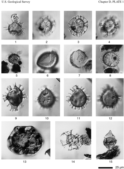 Chapter D, Plate 1