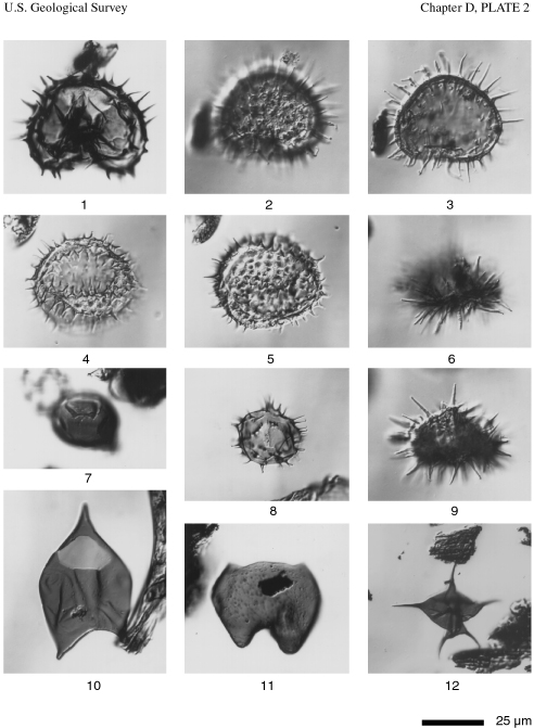 Chapter D, Plate 2