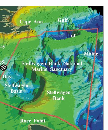 Figure 1. Location of the Massachusetts Bay outfall site showing its proximity to the Stellwagen Bank National Marine Sanctuary to the east and Cape Cod to the south.