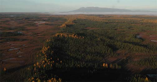 Photograph showing Castle Mountain fault, west of Houston, Alaska, with Mt. Susitna in the distance.