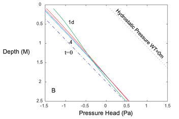 Hydrostatic pressure curve