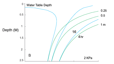 Water Table Depth curves