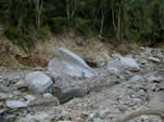 Large boulder  deposited within a coarse sandy gravelly matrix 