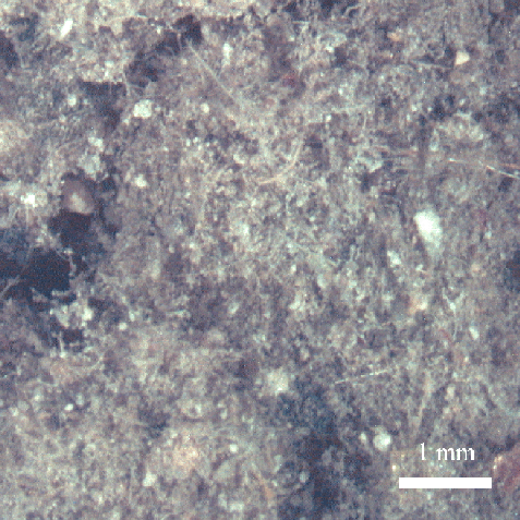 High magnification optical image of dust and debris
	collected 0.3 km from ground zero (sample WTC01-27).