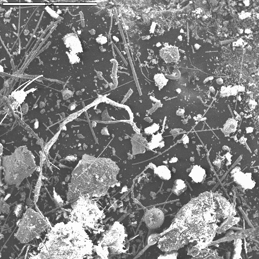 Secondary Electron Microscope image of a representative portion of sample 3 collected from Battery Park