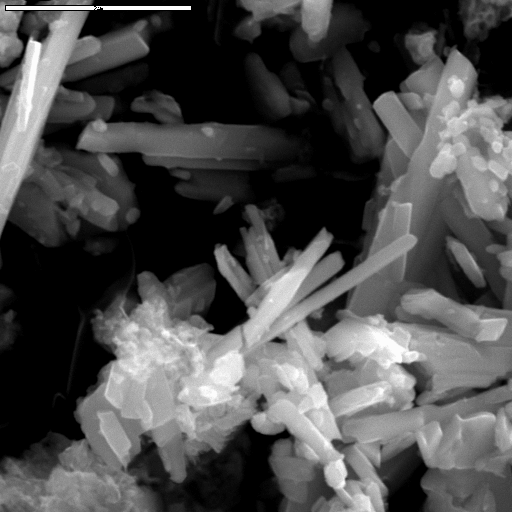 SEM image of gypsum and/or anhydrite crystals from sample 20