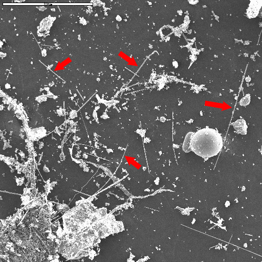 Secondary Electron Microscope image of a representative portion of sample 22