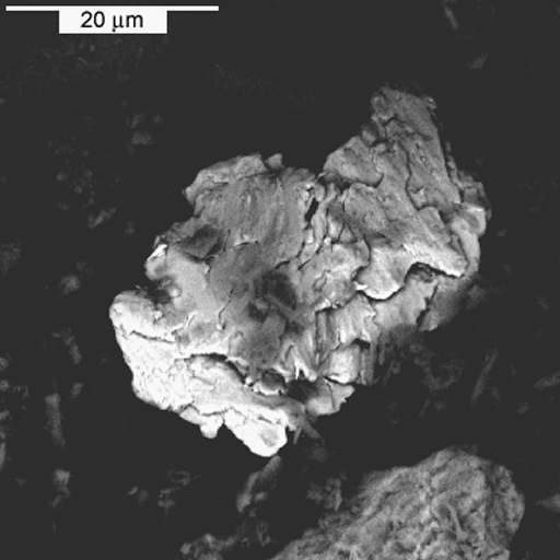 Backscattered electron image of a metallic iron particle.