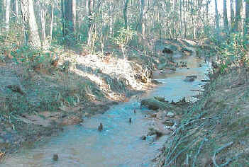 Stream reach on McCoy Creek downstream of North Range Road, Fort Gordon, Georgia, June 1999. Photograph by M. Brian Gregory, U.S. Geological Survey.