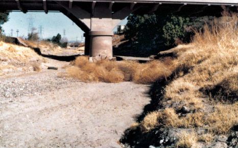 OFR 01 323 CHANGES IN RIPARIAN VEGETATION IN THE SOUTHWESTERN