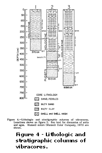 Figure 4: Lithologic and stratigraphic columns of vibracores.  Larger image will open in new browser window.