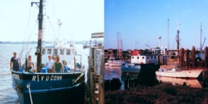 R/V UCONN at dock.