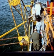 Vibracorer back in horizontal position in preparation for core retrieval.  Large wrench holds core barrel so the core cutter can be unscrewed.