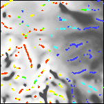 Grayscale detail of the local wavenumber of the upward continued aeromagnetic map with color-coded depth estimates