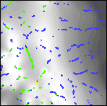 Grayscale detail of the reduced-to-pole aeromagnetic map with color-coded structural indices